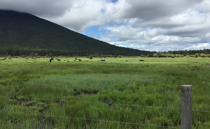 Black Butte Ranch 