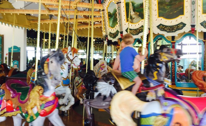 New day, Zoo&nbsp;day