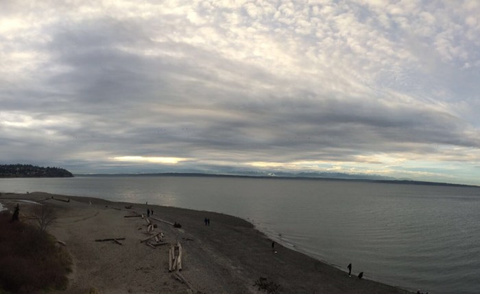 Carkeek Park﻿ Holiday 